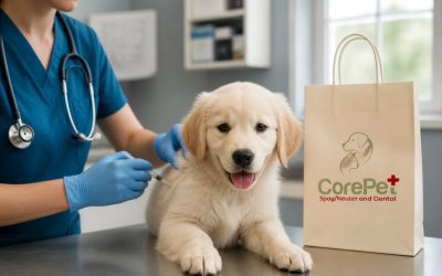 Affordable Pet Vaccination Packages for New Puppy Owners