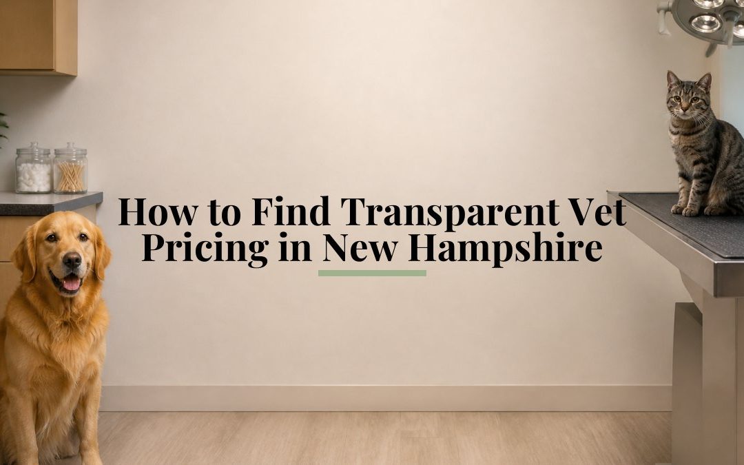 How to Find Transparent Vet Pricing in New Hampshire